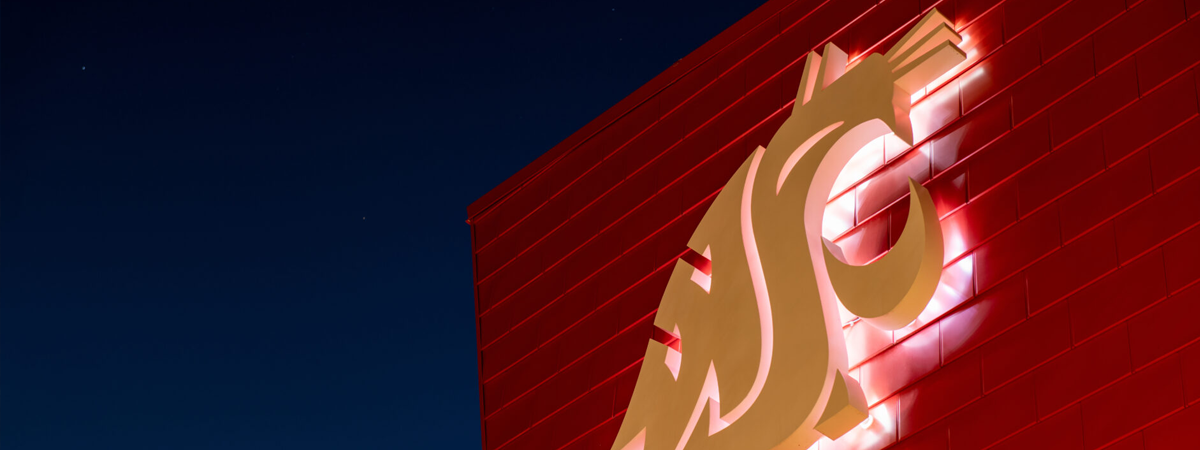 Coug head lit up on side of building at night